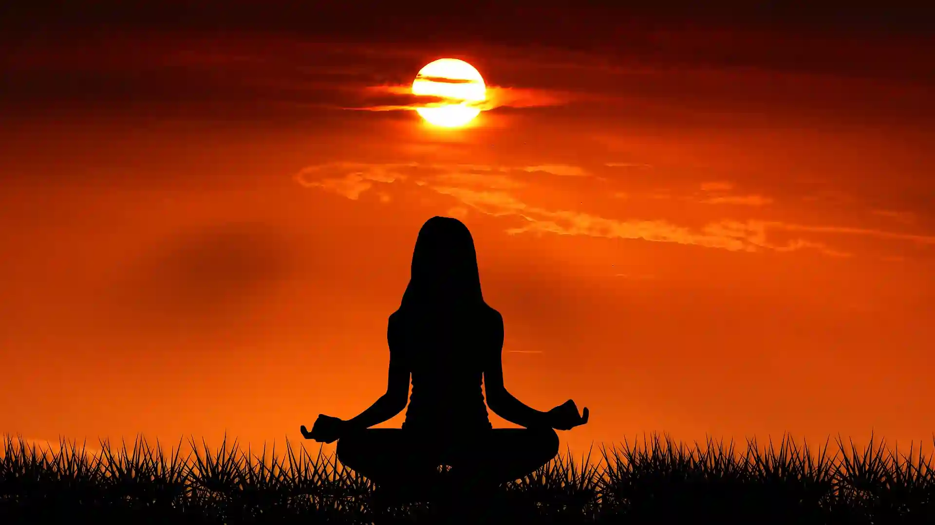 Yoga Vacancy in Ayush 2025